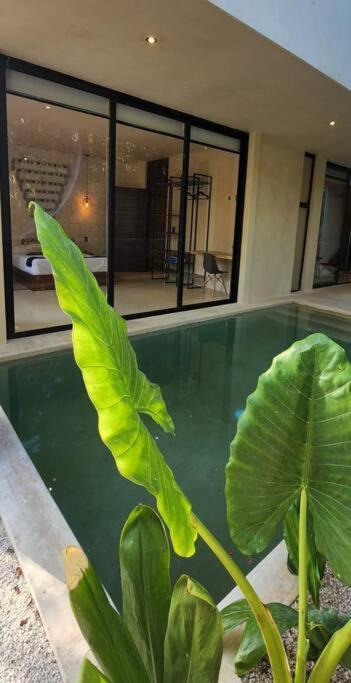 Apartment With Private Pool Tulum Chemuyil Bagian luar foto